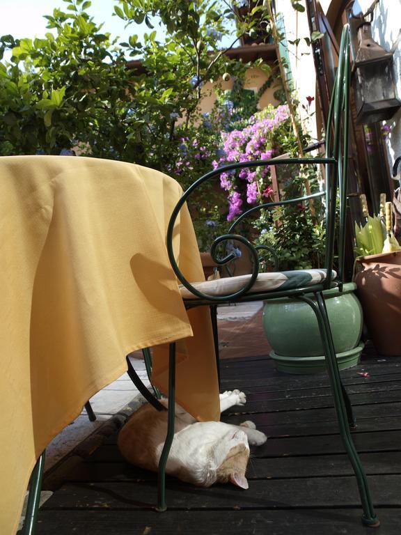 Hotel San Filis 3*